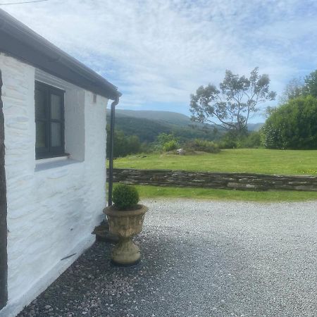 Dolwyddelan Fron Goch Cottage المظهر الخارجي الصورة